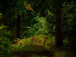 Casa per le vacanze Rochefort Ambiente 44