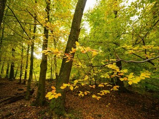 Casa per le vacanze Rochefort Ambiente 47