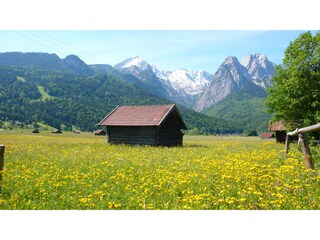 Wandern nach Grainau im Frühling