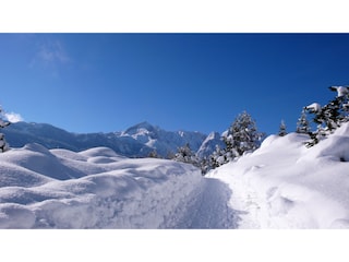 Winterwandern am Kramerplateauweg