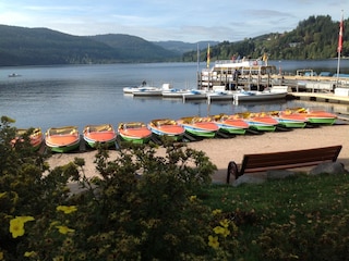 Der Titisee mit seinen Booten
