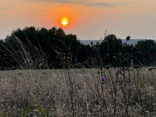 Holiday house Hohen Wangelin Environment 32