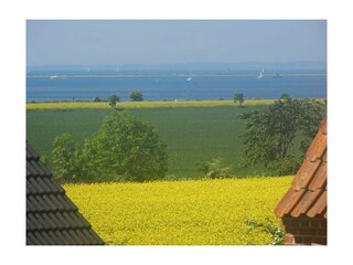 Ferienwohnung Neujellingsdorf Außenaufnahme 6