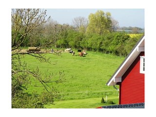 Ferienwohnung Neujellingsdorf Außenaufnahme 11