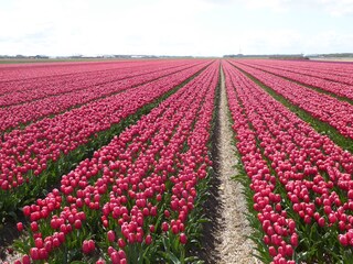 Appartamento per vacanze Callantsoog Ambiente 14