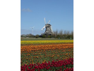 Appartamento per vacanze Callantsoog Ambiente 20