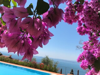 Appartamento per vacanze Torri del Benaco Caratteristiche 15