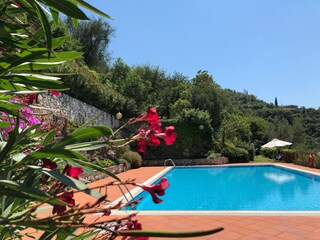 Holiday apartment Torri del Benaco Outdoor Recording 1