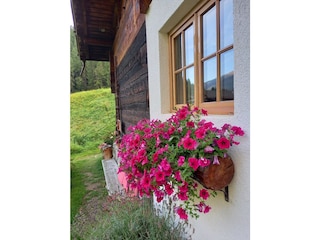 Ferienhaus Schnals Außenaufnahme 6