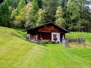 Holiday house Pifrailerhof "Alte MÃ¼hle" - Schnals - image1