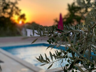 Sunset on pool