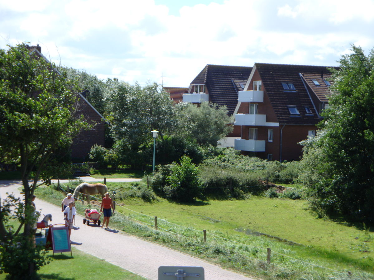 Ferienwohnung 2 Balkone Haus Nr 259 An Der Aussichtsdune