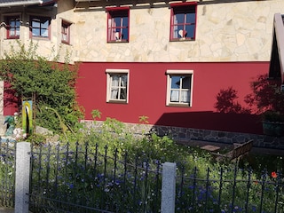 Frontansicht mit Blumenwiese