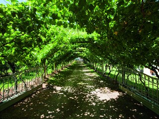 Holiday apartment Lana Outdoor Recording 5