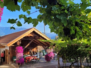 Ferienwohnung Lana Außenaufnahme 10