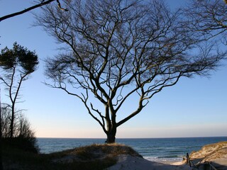 Weststrand