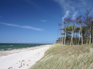 Einsamer Weststrand im Frühling