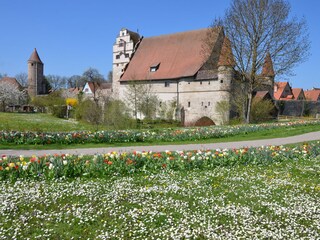 Dinkelsbühl, the town mill
