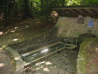 The Kneipp fountain in the Mutschach forest.