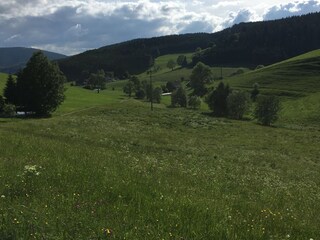 Blick ins Tal