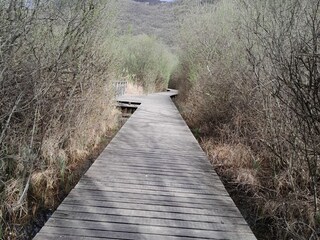 Vakantieappartement Lana Omgeving 39