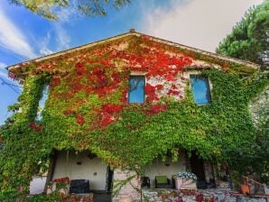 Tranquillità rustica, umbra