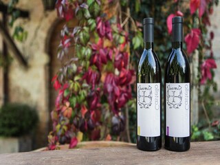 Fattoria Marsciano  37