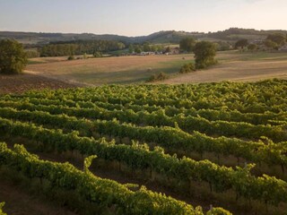 Farmhouse Marsciano Environment 36
