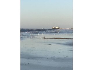am Strand