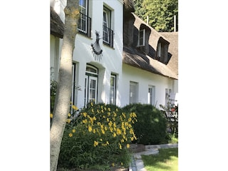 Südfassade