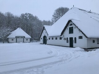 im Winter