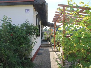 Courtyard with pergola and entryway
