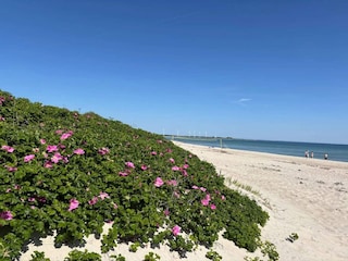 Holiday house Sydals  18