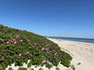 Vakantiehuis Sydals  18