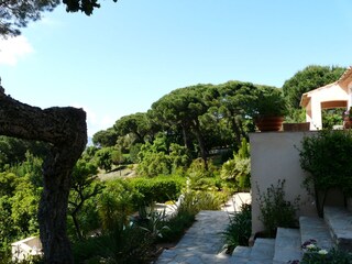 Holiday house Saint-Tropez (Ort) Outdoor Recording 5