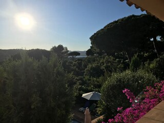 Casa per le vacanze Saint-Tropez (Ort) Registrazione all'aperto 12