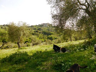 Casale Caldana Ambiente 30