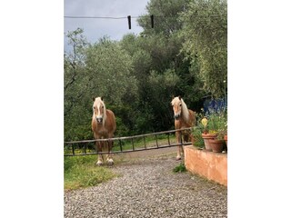 Casale Caldana Ambiente 37