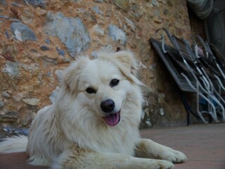 Coco