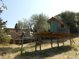 Casale Caldana Registrazione all'aperto 4
