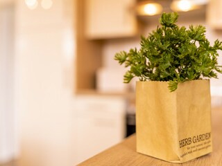 Apartamento de vacaciones Großenbrode Características 13