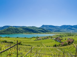 Kalterer See