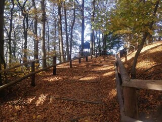 Bungalow Misdroy Environnement 18