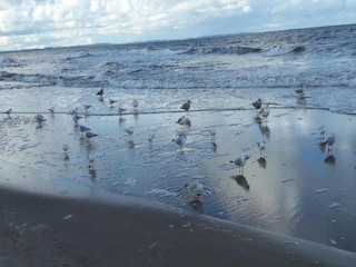 Bungalow Misdroy Umgebung 19