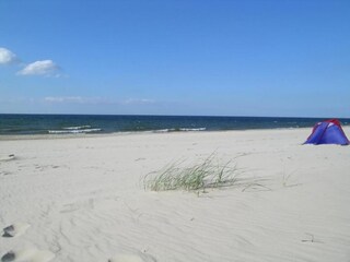 Bungalow Misdroy Environnement 31