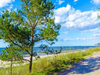 Bungalow Misdroy Environnement 38