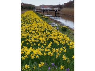 Maison de vacances Julianadorp Document 21