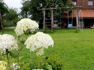 Vakantieappartement Scheggerott Buitenaudio-opname 12