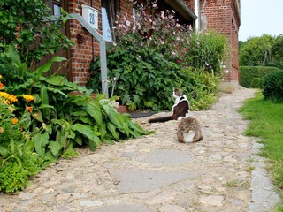 Appartamento per vacanze Scheggerott Registrazione all'aperto 4