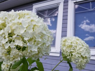 Ferienhaus Rechlin Außenaufnahme 2